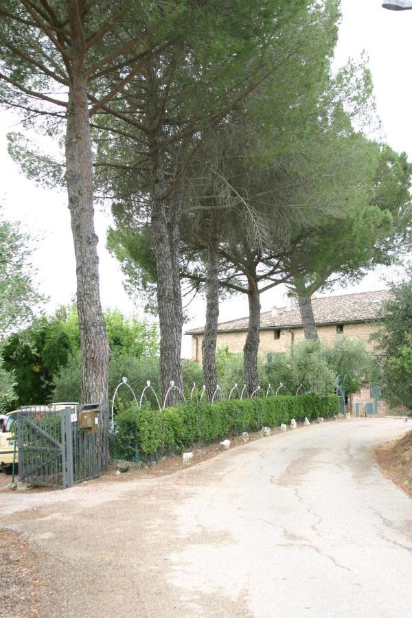 Podere Piazza סיינה מראה חיצוני תמונה