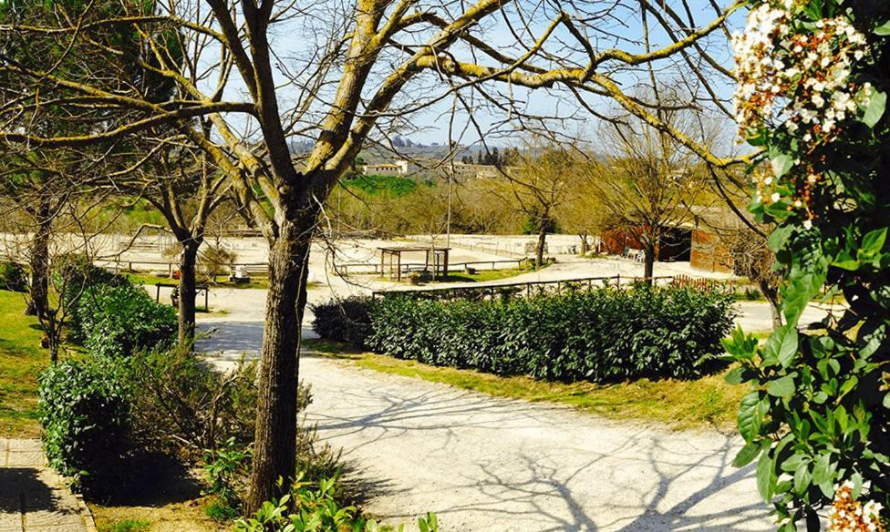 Podere Piazza סיינה מראה חיצוני תמונה